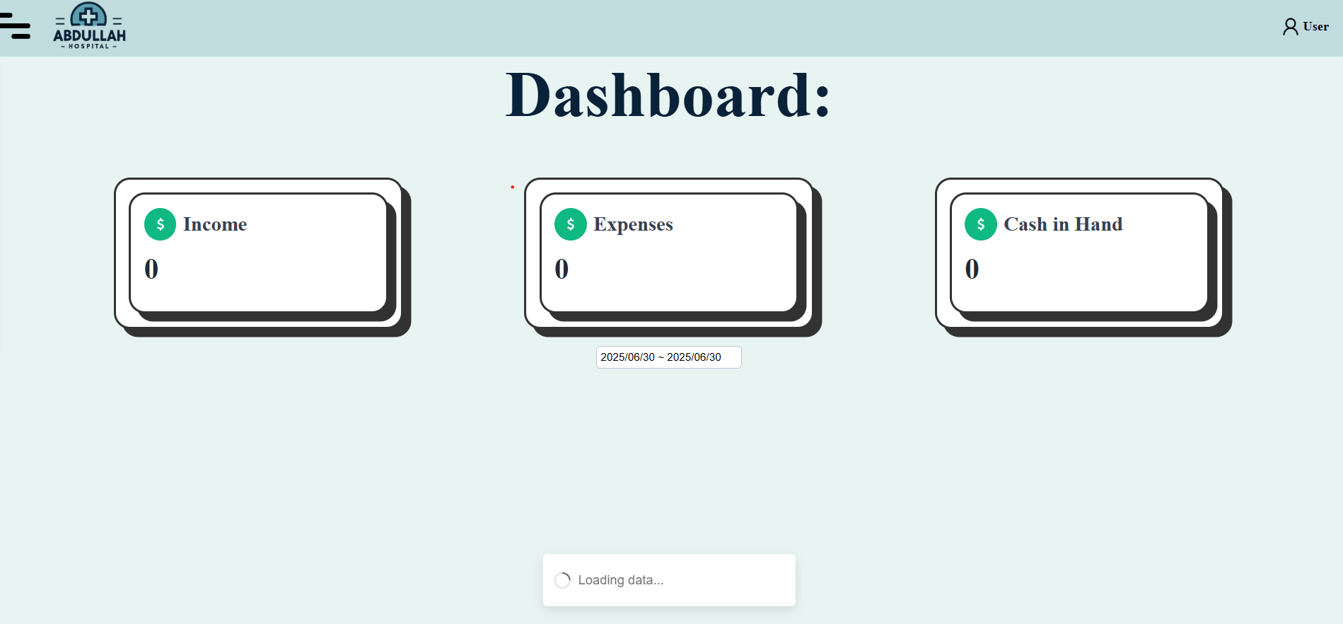 Hospital Website